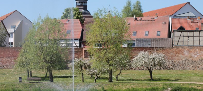 Wasserfontäne Park Malchin // © Stadt Malchin Wasserfontäne Park Malchin // © Stadt Malchin