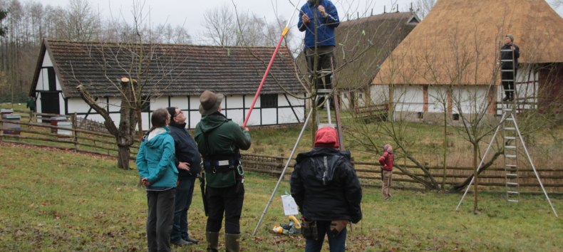 © Fred-Ingo Pahl © Fred-Ingo Pahl