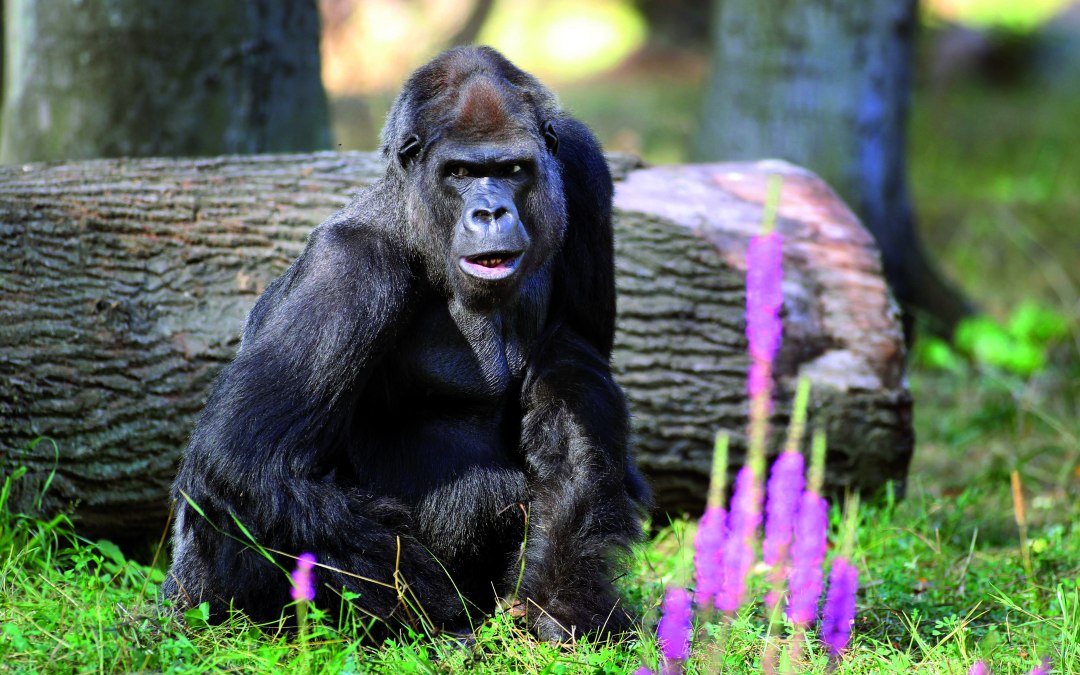 Tropical expedition at Rostock Zoo, © Zoo Rostock/Gohlke