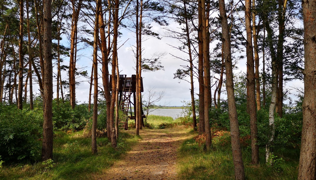 highseat-fuchsberg_barth_nicole-paszehr_web highseat-fuchsberg_barth_nicole-paszehr_web