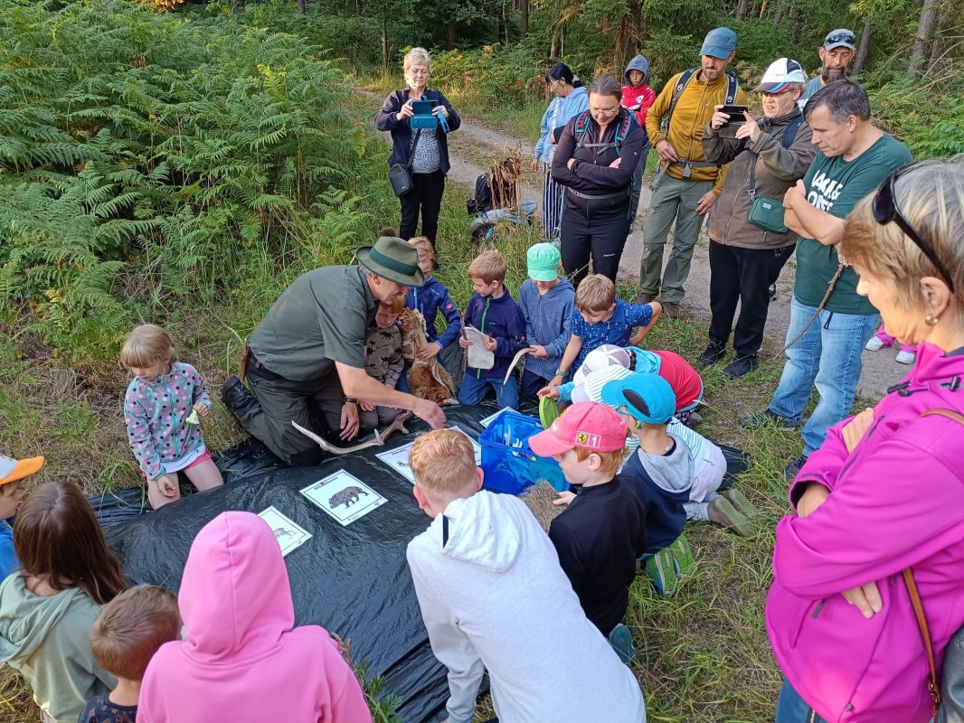 IMG-20250711-WA0024, © Tourismusbetrieb Mönkebude BgA IMG-20250711-WA0024, © Tourismusbetrieb Mönkebude BgA