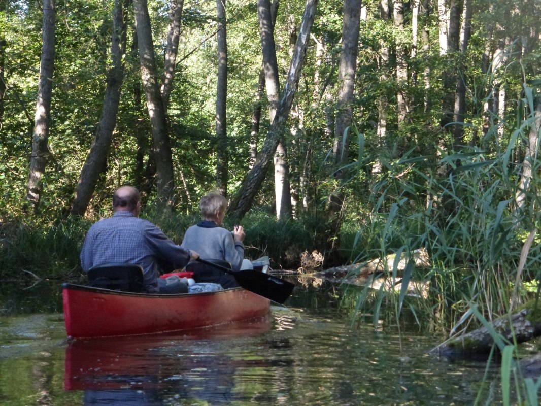Wiosłowanie w dżungli Mildenitz, © Kanucamp Borkow Wiosłowanie w dżungli Mildenitz, © Kanucamp Borkow