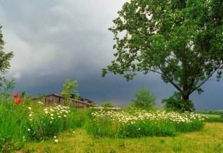 © Tille Ganz © Tille Ganz