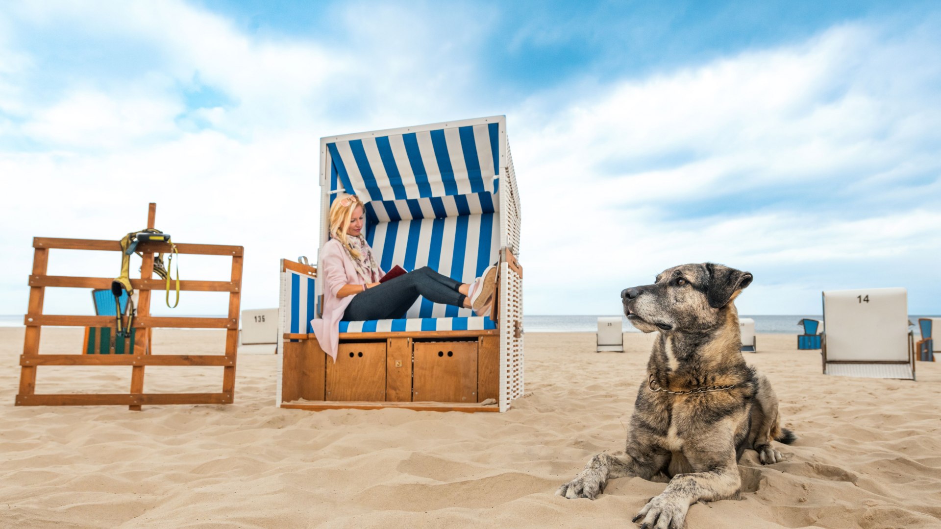 Kobieta czytająca na niebiesko-białym leżaku na bałtyckiej plaży dla ps&oacute;w, podczas gdy jej duży pies leży zrelaksowany na piasku.