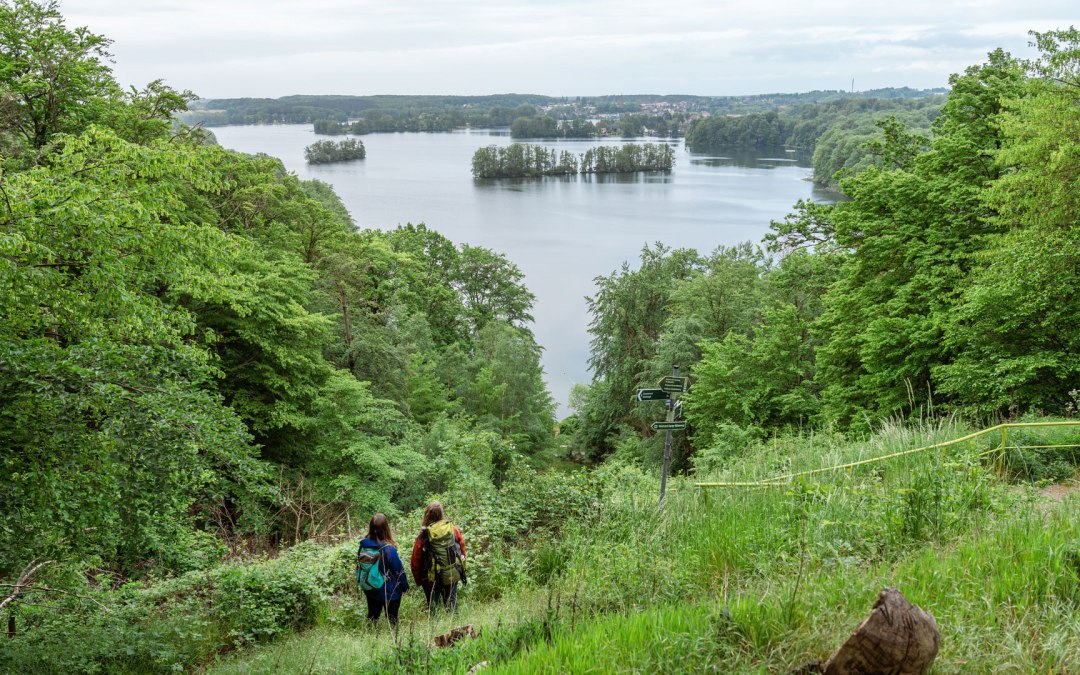 Wędrówka szlakiem parku przyrody przy punkcie widokowym Reiherberg, © TMV/Gross