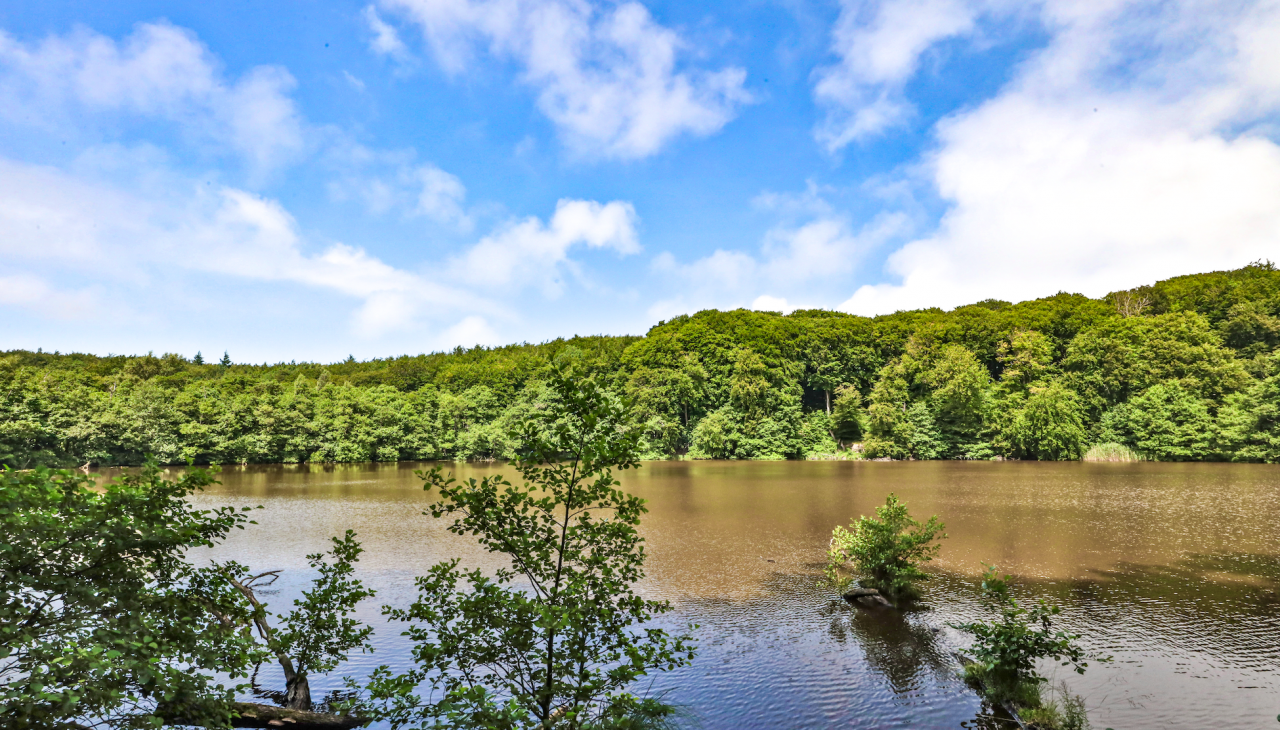 herthasee_1, © TMV/Gohlke