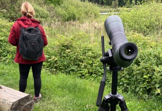 &copy; Nationalpark-Zentrum K&Ouml;NIGSSTUHL