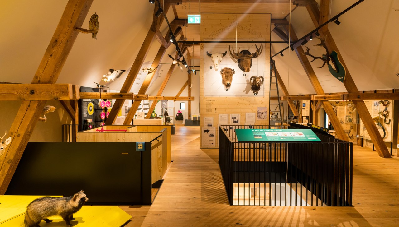 MUZEUM Stara Leśniczówka Urodzony, © Moritz Kertzscher