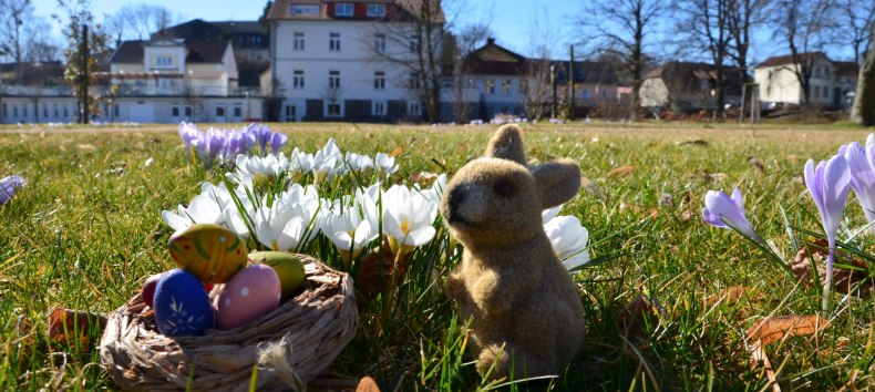 &copy; Kurverwaltung Feldberger Seenlandschaft