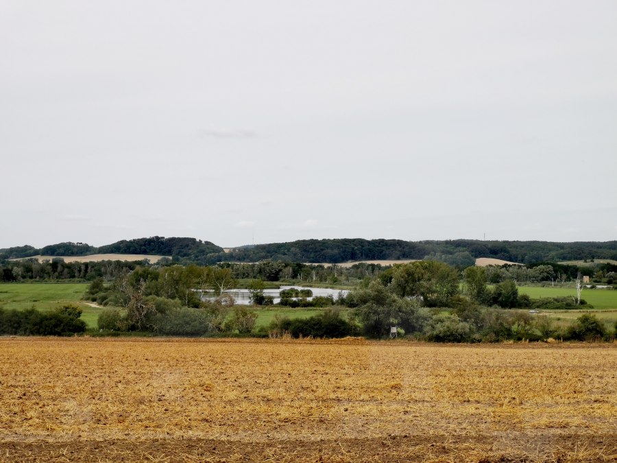 Uitzicht op gerenatureerde heide bij Dahmer Kanal, © E-Bike MV Uitzicht op gerenatureerde heide bij Dahmer Kanal, © E-Bike MV