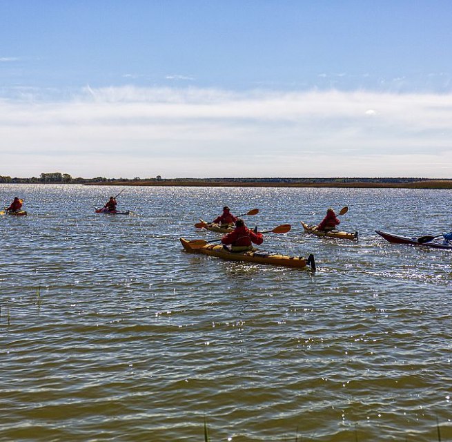 Discover the Fischland-Darß-Zingst Peninsula by kayak // © Tourismusverband FDZ/voigst & Kranz UG Discover the Fischland-Darß-Zingst Peninsula by kayak // © Tourismusverband FDZ/voigst & Kranz UG