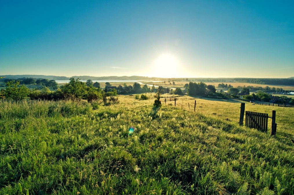 Meadow festival Moritzdorf_Pocha, © Burwitz-Pocha Meadow festival Moritzdorf_Pocha, © Burwitz-Pocha