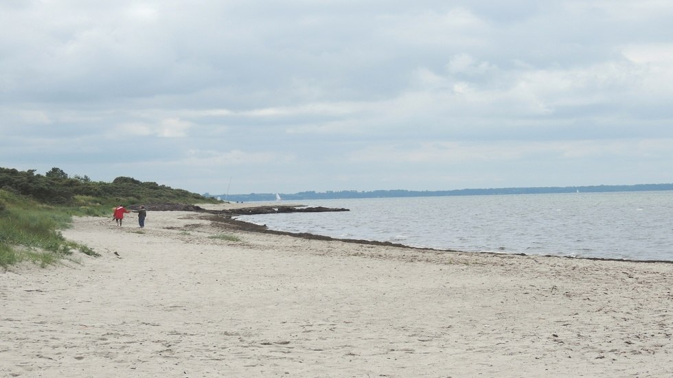 Widok na naturalną plażę // &copy; Kurverwaltung Insel Poel