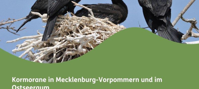 Poster for the Cormorant Lecture // &copy; Naturpark Sternberger Seenland