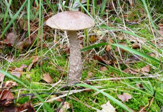 &copy; Stadtmarketing Ribnitz-Damgarten