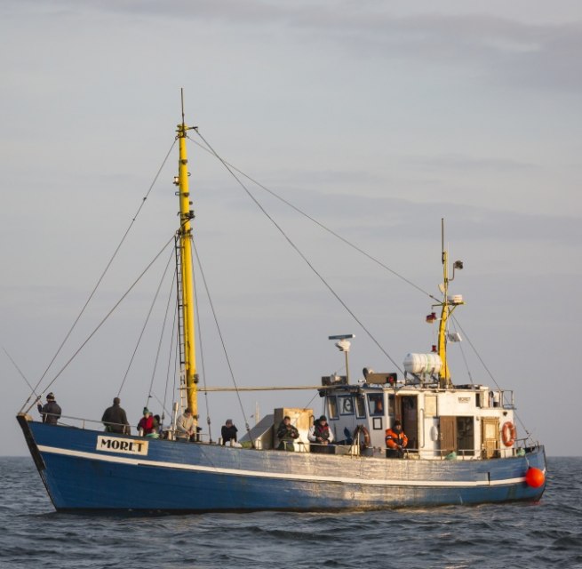 © TMV/Läufer © TMV/Läufer