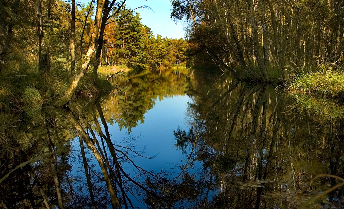 Moorsee, © Stadt Ribnitz Damgarten