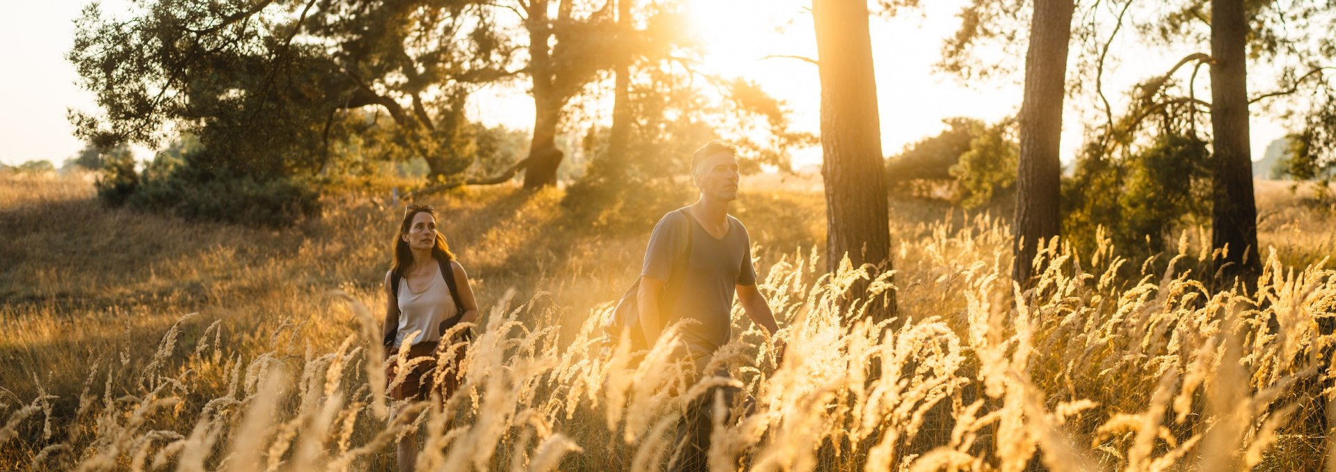 A couple walks through golden grass and trees near Menzlin as the setting sun illuminates the landscape. // Romantic moments in nature - a sunset walk through the Peenelandschaft. // © MV-T/Gross A couple walks through golden grass and trees near Menzlin as the setting sun illuminates the landscape.