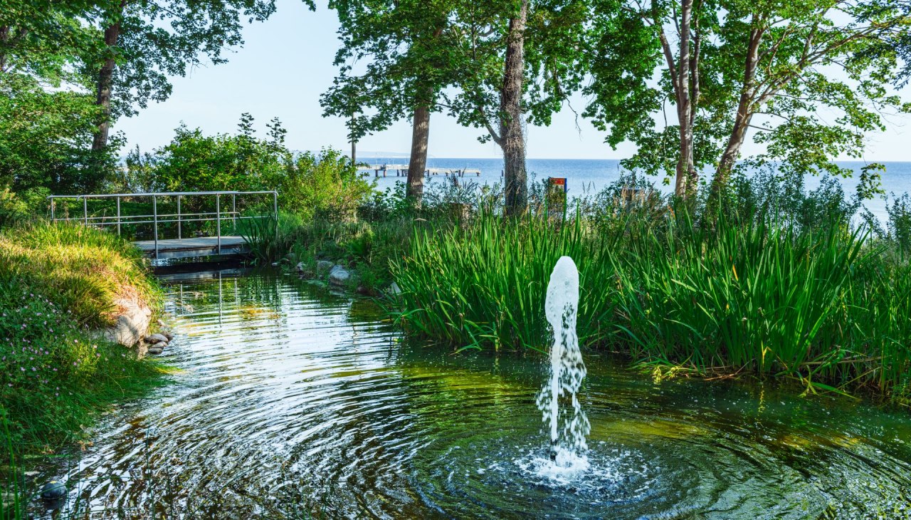 The Kneipp garden in the Baltic resort of Göhren is an oasis of tranquility., © TMV/Tiemann