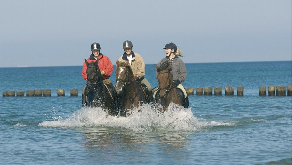 Een verfrissende rit door de Oostzee versterkt de gezondheid van ruiter en paard in gelijke mate., © Reitstall Stuthof