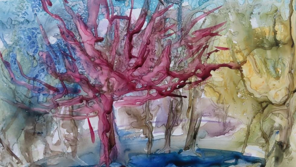 European beech, &copy; Brita Weigel