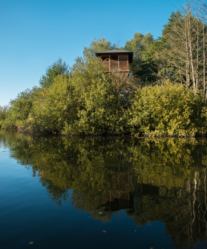 UitkijktorenMoorochse_RalfKoch, © Ralf Koch UitkijktorenMoorochse_RalfKoch, © Ralf Koch