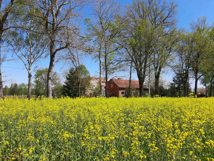 LüttenHof Retreat, © Tanja von Heintze