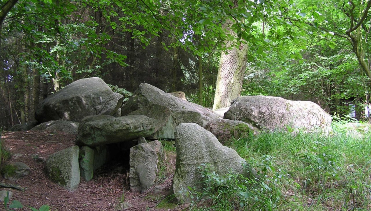 Megalityczny grobowiec Lieper Burg, © Oliver Hellweg