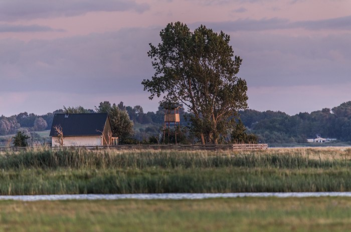 Widok na wyspę rezerwatu ptaków Kirr, © Martin Harms