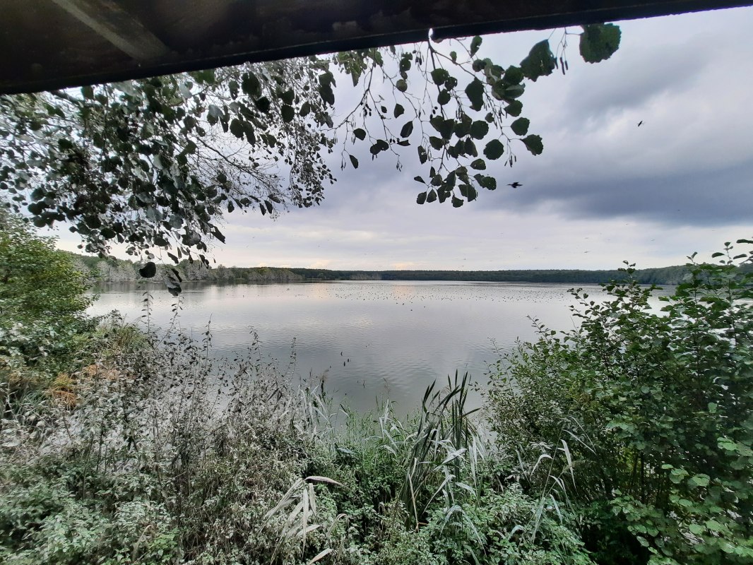 &copy; Waren (M&uuml;ritz)-Information