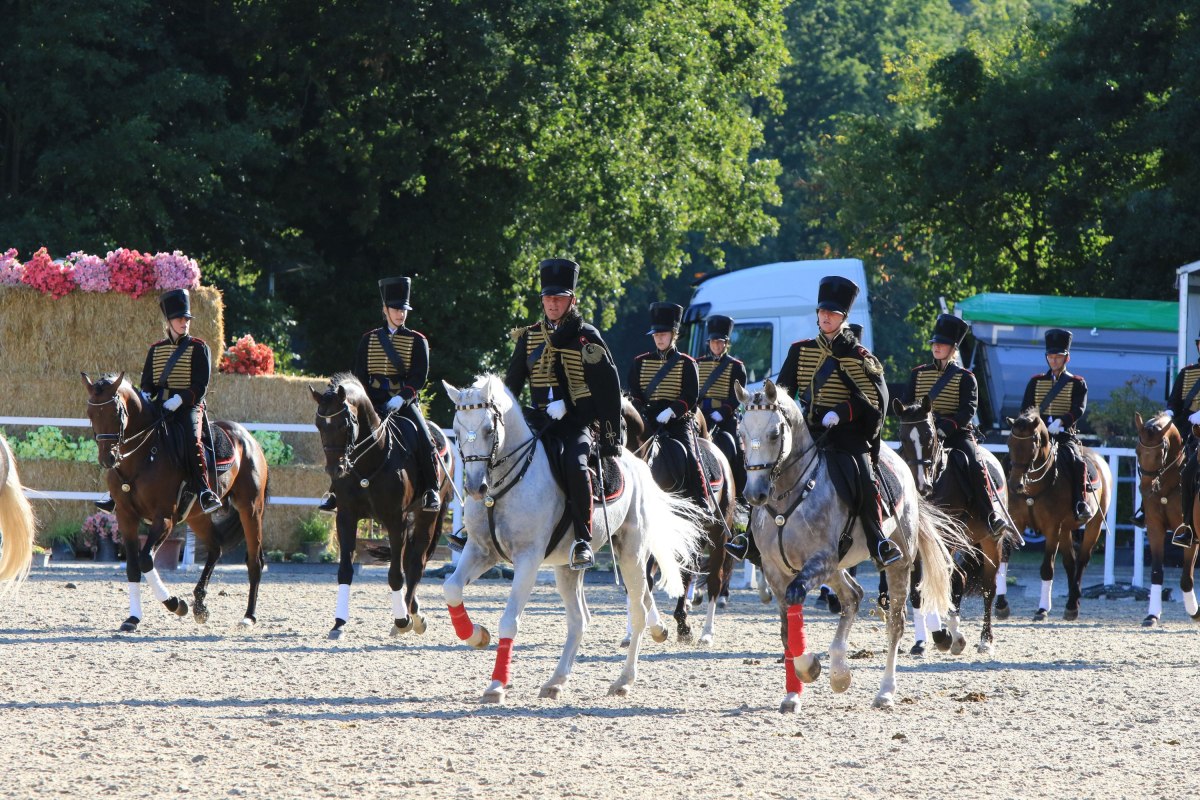 &copy; Sven F&ouml;rst