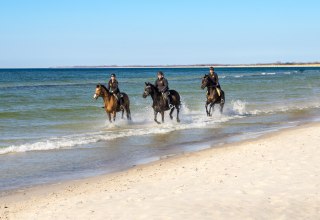 © bernsteinreiter © bernsteinreiter