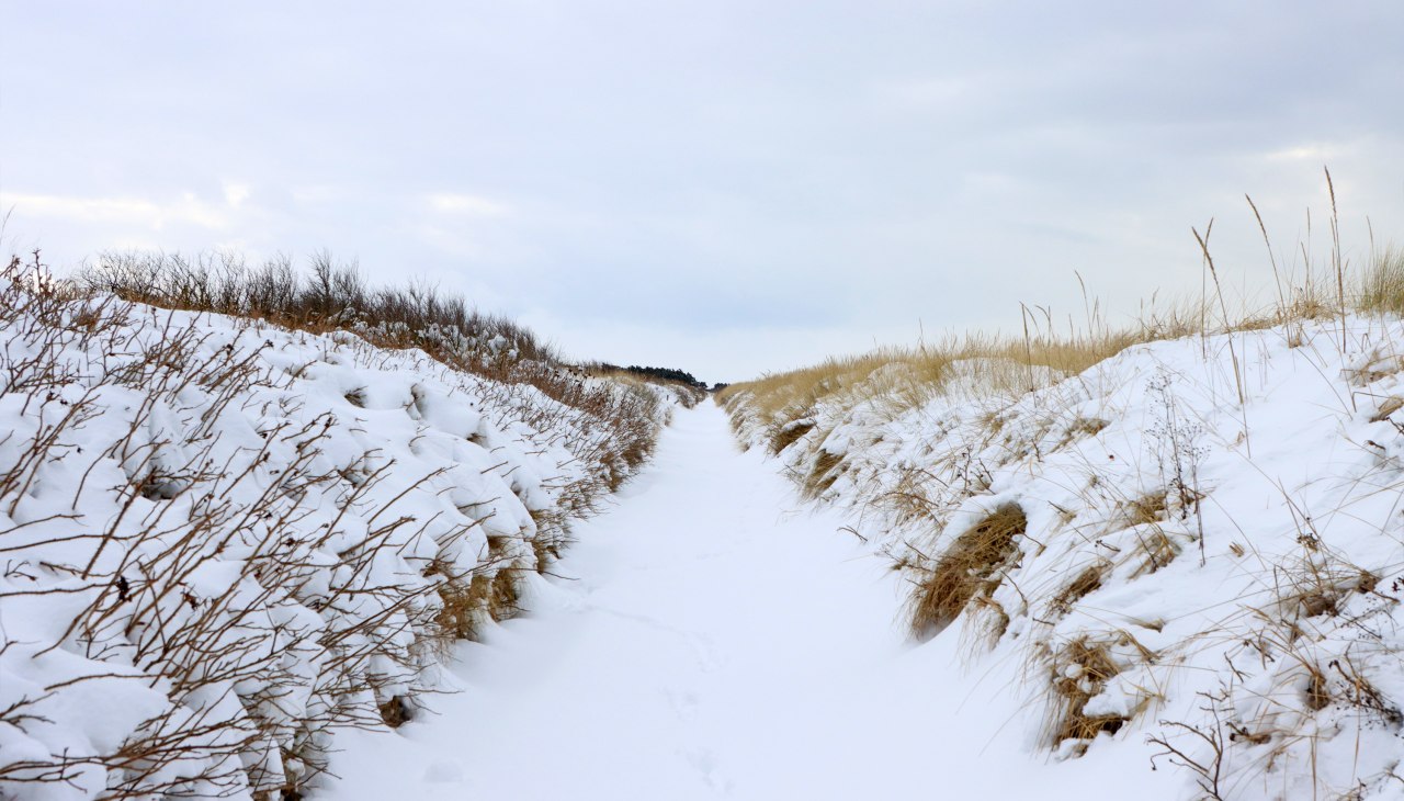 Winter-Hiddenssee-003, © Weiße Flotte GmbH Winter-Hiddenssee-003, © Weiße Flotte GmbH