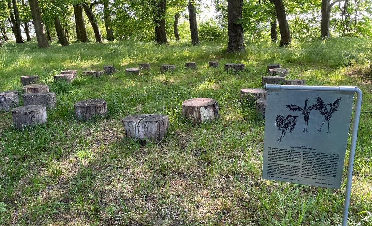 IMG_3620, © TZ Südliche Boddenküste IMG_3620, © TZ Südliche Boddenküste