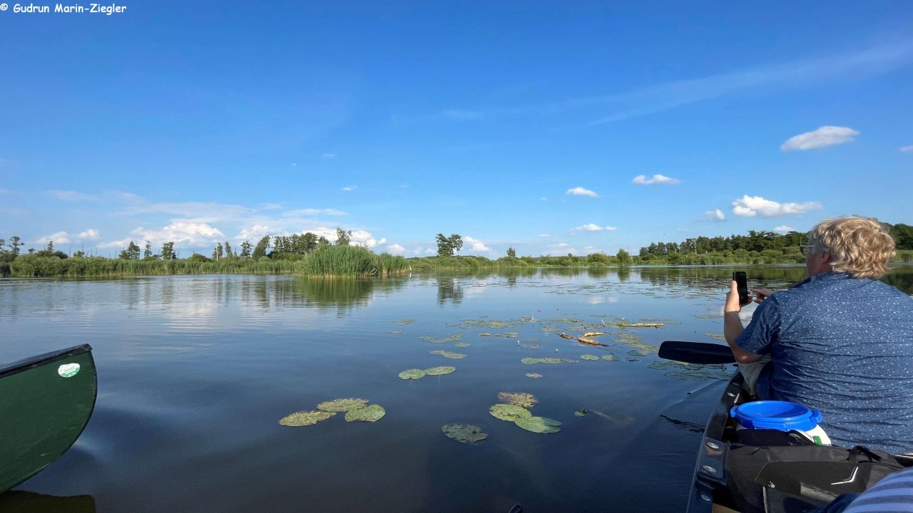 W dołach torfowych // &copy; Marin-Ziegler