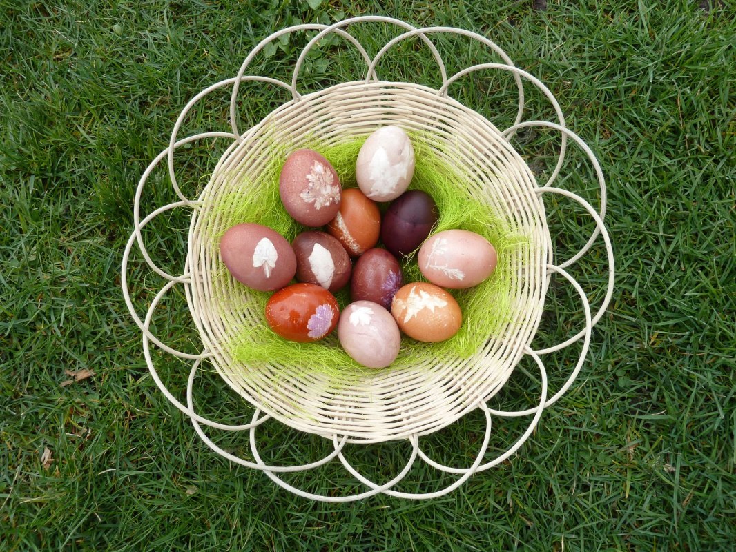 Eggs colored with plants and plant parts. // &copy; LAKD M-V