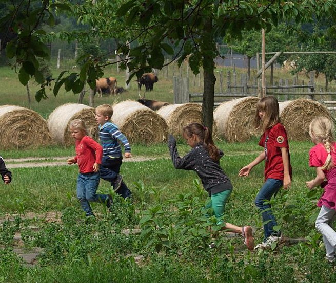 Plezier en spelletjes op kinderdag // &copy; Naturerlebnispark Gristow