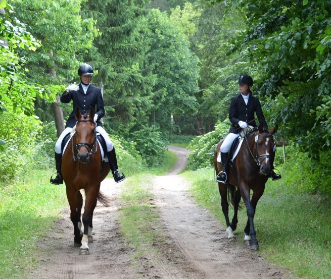 Ausreiten mit dem Reiterhof Gro&szlig;-Stubben hei&szlig;t vorallem Natur genie&szlig;en // &copy; Reit- und Fahrverein Poseritz e.V./ Thomas Krimmling