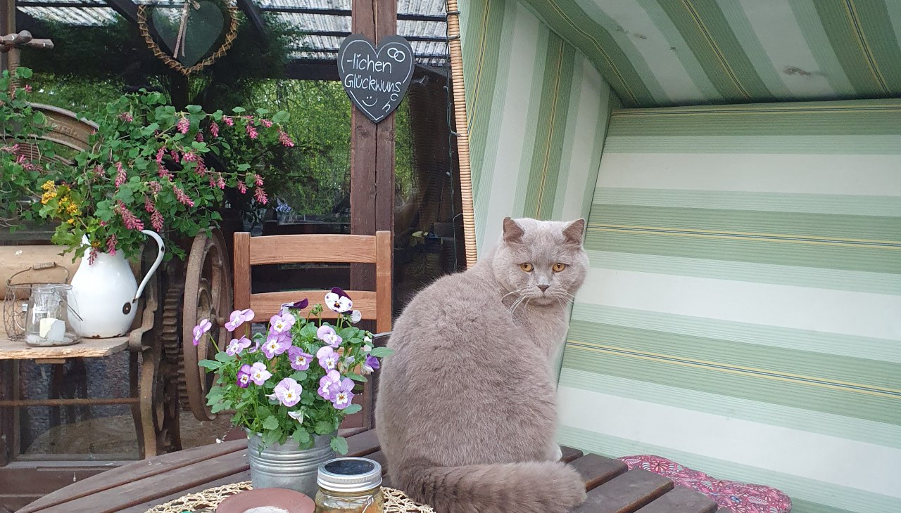 20250428_192957, &copy; Nussbaumhof MV