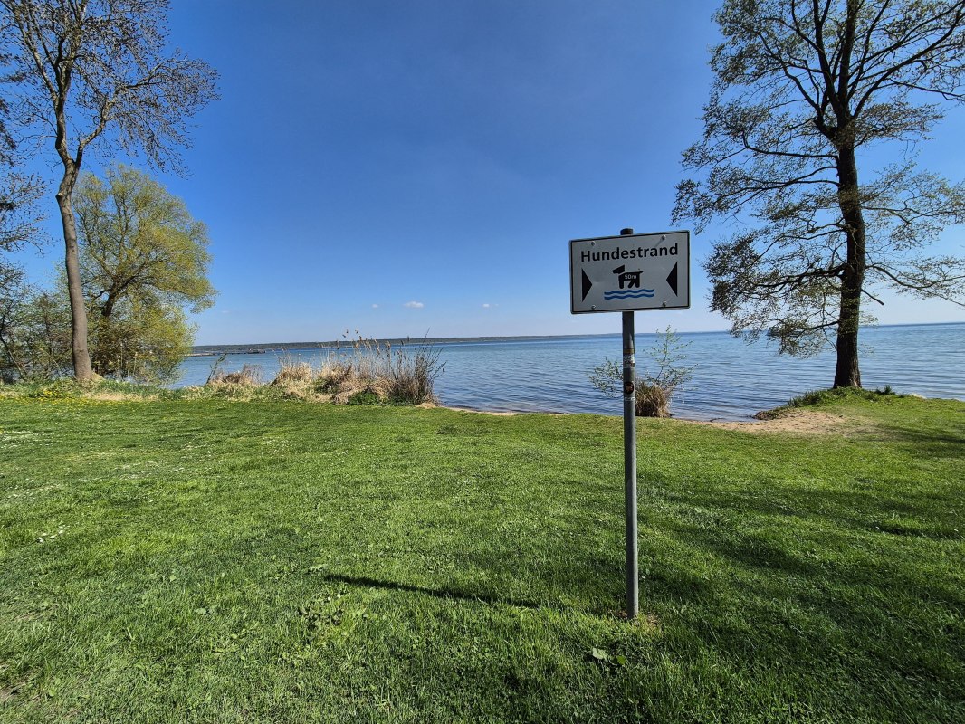 &copy; Gina Schulenberg