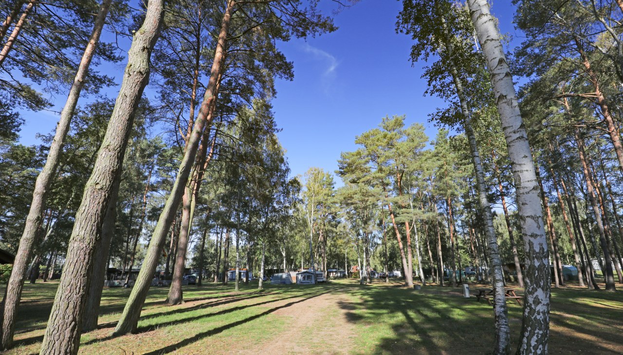 Las, &copy; TMV/Gohlke