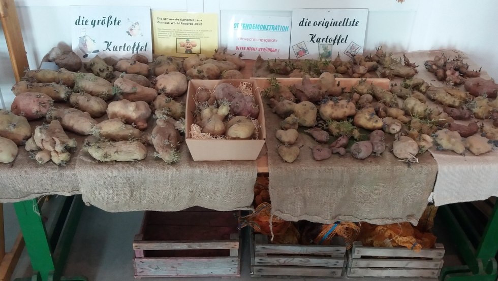 grootste_originele_aardappel, © Martin Hagemann grootste_originele_aardappel, © Martin Hagemann