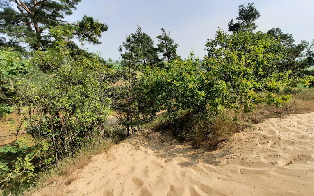 Duin Klein Schmölen, © M. Lenthe