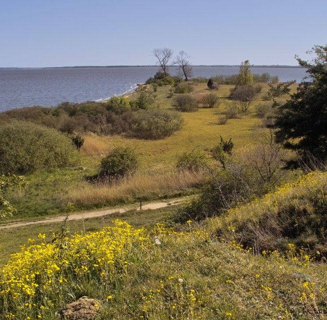 Blick auf das Naturschutzgebiet Gnitz // © Fotoarchiv Naturpark Insel Usedom Blick auf das Naturschutzgebiet Gnitz // © Fotoarchiv Naturpark Insel Usedom