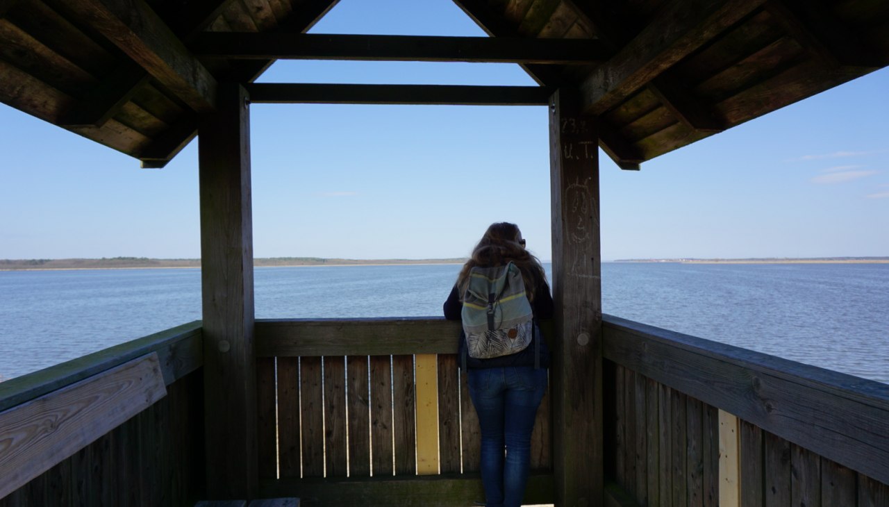 Observatietoren bij het meer van Neuwarp, © tvv-bock