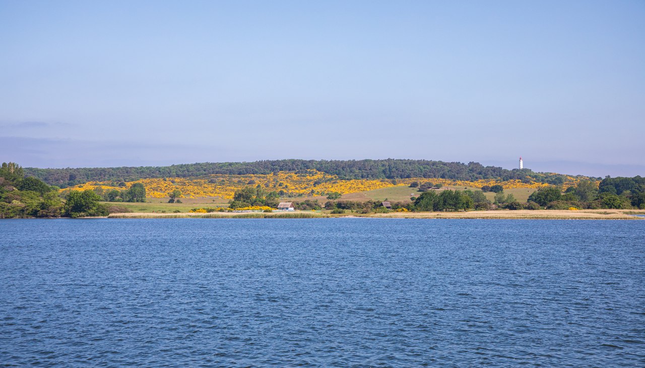 Reederei-Zingst-Insel-Hiddensee-002-1, &copy; Wei&szlig;e Flotte GmbH