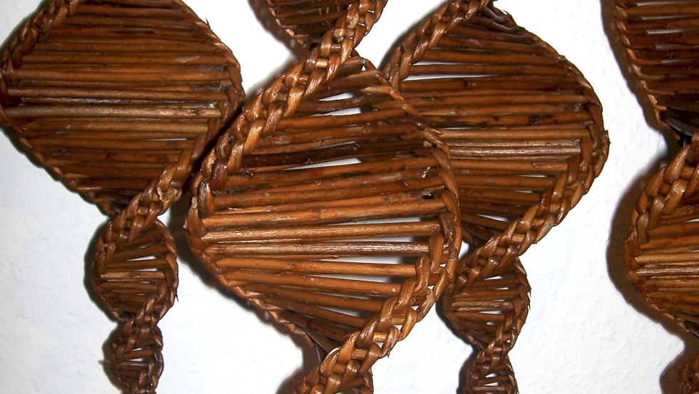 © Lotte Sell © Lotte Sell