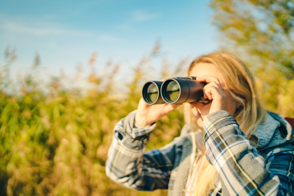 Birdwatching, przyroda, ornitologia, © Südliche Boddenküste
