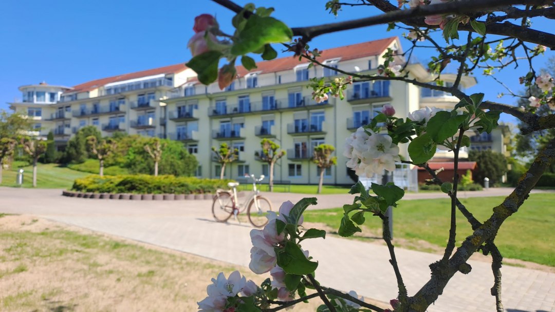 Klinika, © Bernhardi, Manja