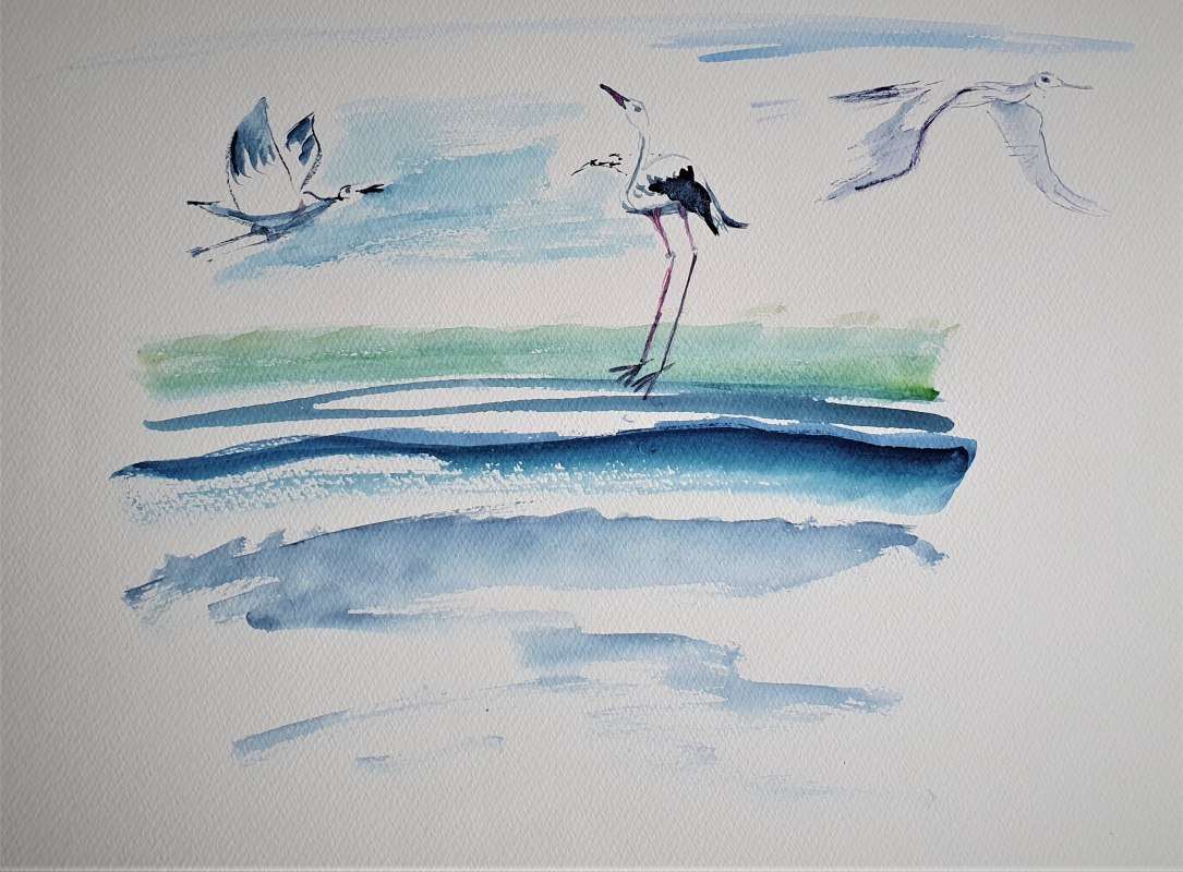 Vlucht en landing van ooievaars aan zeeWaterverf techniek op papier // © Heike Dittrich Vlucht en landing van ooievaars aan zeeWaterverf techniek op papier // © Heike Dittrich